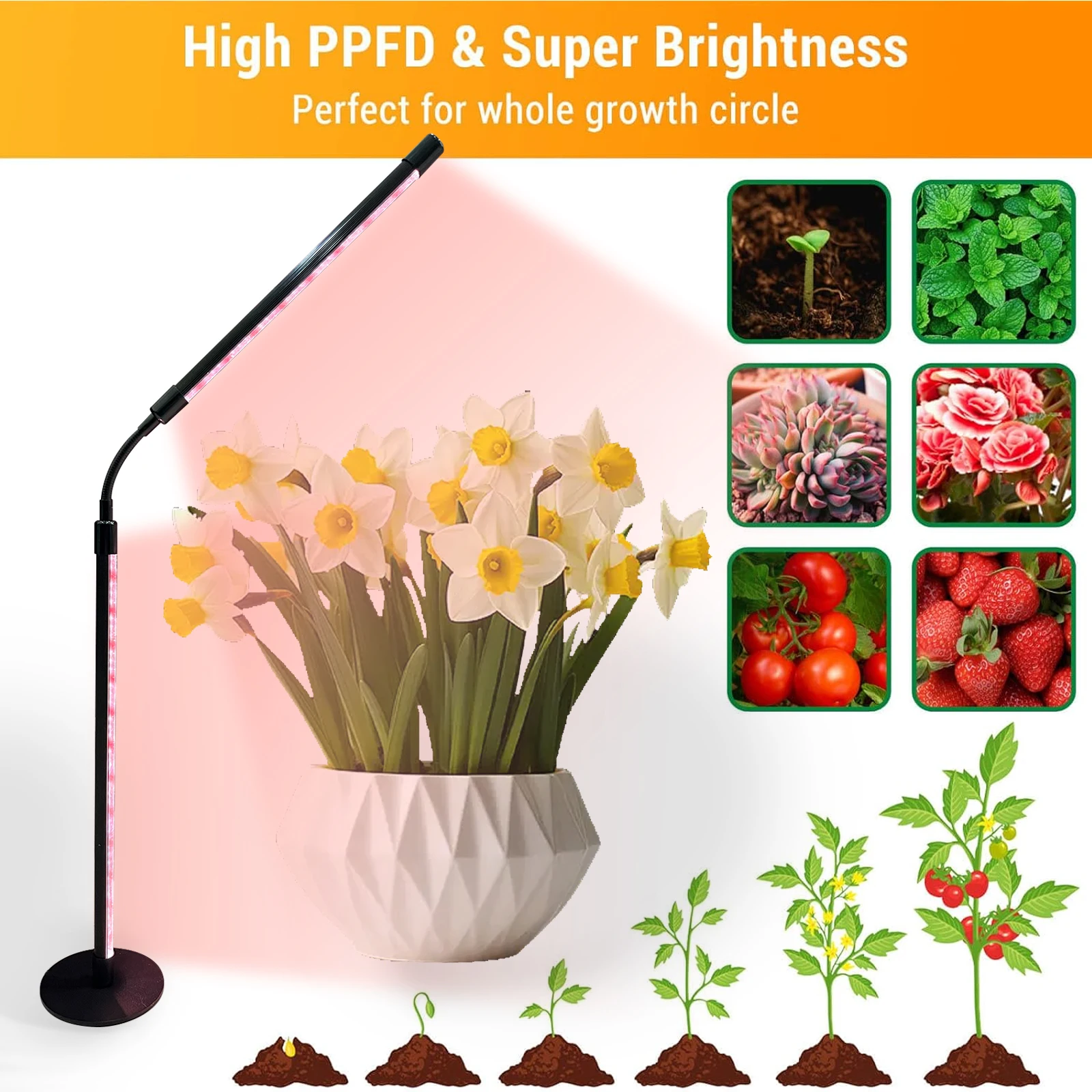 LED Plant Grow Light Adjustable Angle Long Arm Desk Growth Lamp Dimmable Full Spectrum Vertical Indoor Plant Grow Light
LED Plant Grow Light Adjustable Angle Long Arm Desk Growth Lamp Dimmable Full Spectrum Vertical Indoor Plant Grow Light