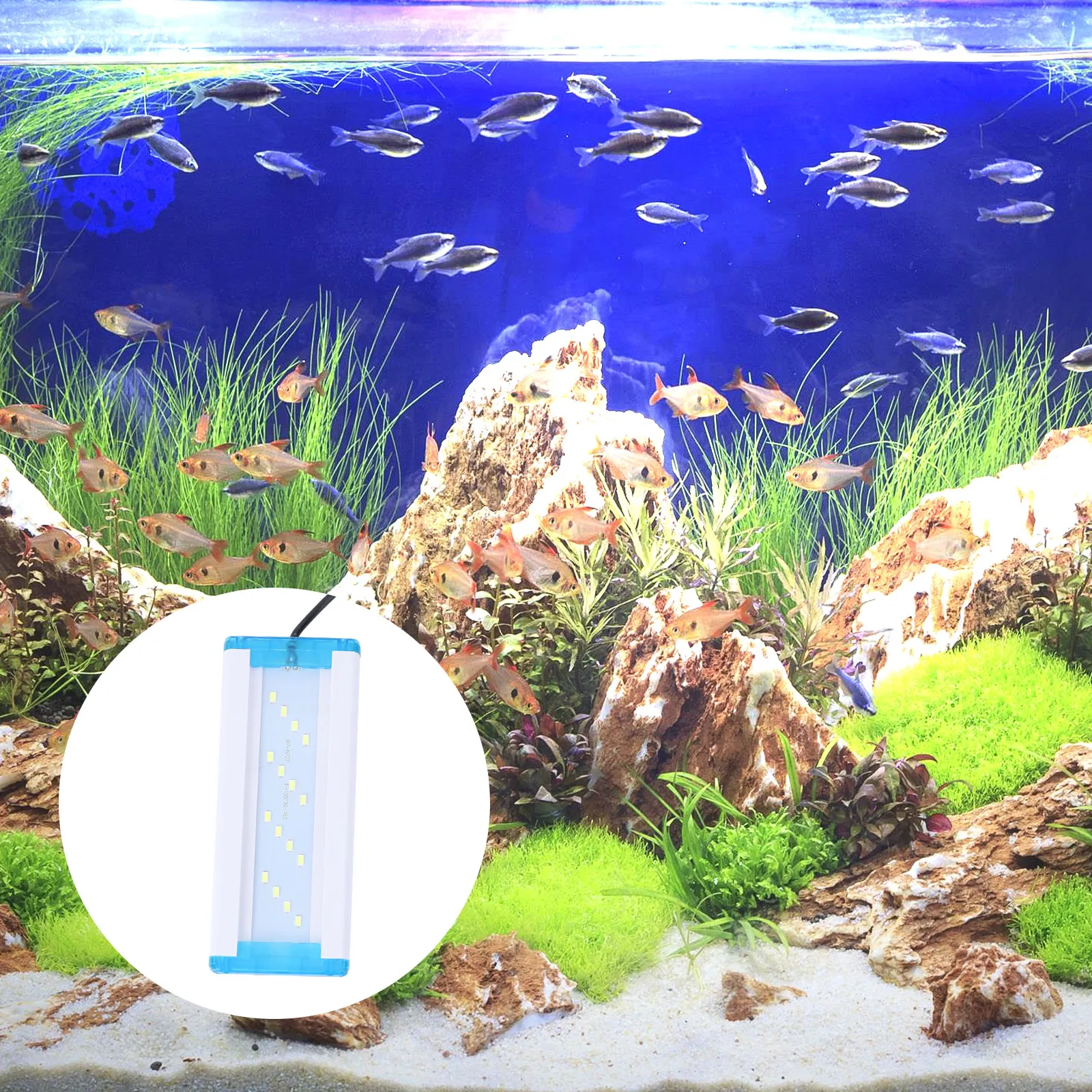 1Pcs Fish Tank LED Lamp High Color Rendering Transparent Acrylic Frame Support Lighting Ecological Landscape Aquarium Lamp Us
1Pcs Fish Tank LED Lamp High Color Rendering Transparent Acrylic Frame Support Lighting Ecological Landscape Aquarium Lamp Us