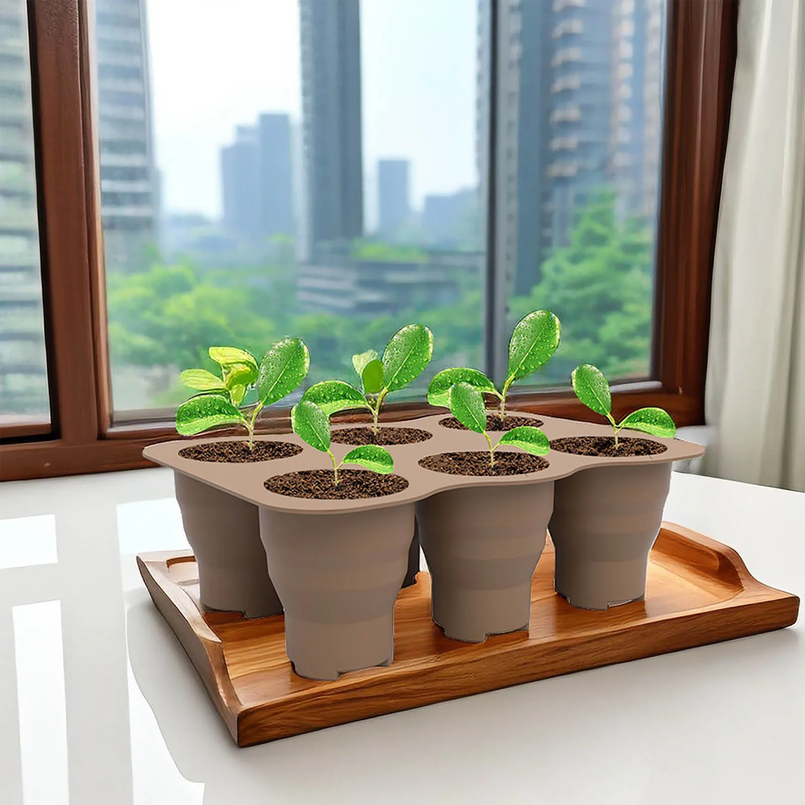 Garden Garden Nursery Box Seedling Pot 6 Cells Silicone Seed Starting Tray Seedlings Plant Starter with Drainage Holes Container
Garden Garden Nursery Box Seedling Pot 6 Cells Silicone Seed Starting Tray Seedlings Plant Starter with Drainage Holes Container