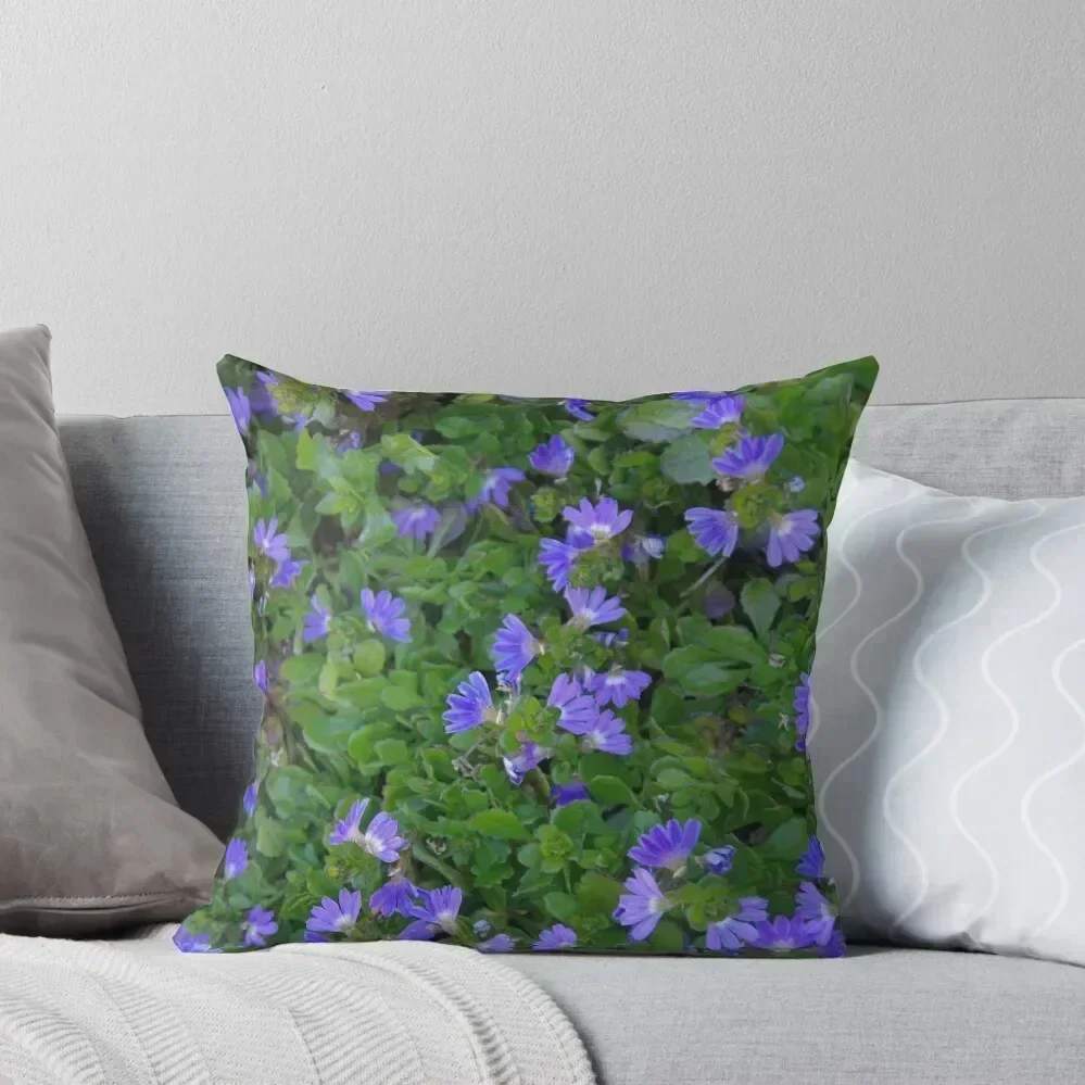 Garden Scaevola Throw Pillow Decorative Sofa Cushions autumn decoration Pillow Cases Decorative Sofa Cushion pillow
Garden Scaevola Throw Pillow Decorative Sofa Cushions autumn decoration Pillow Cases Decorative Sofa Cushion pillow
