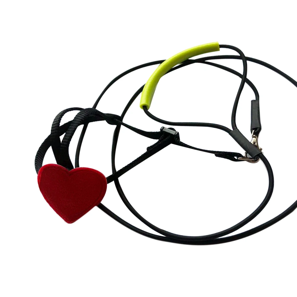 Security Strap Flying Rope Pet Leash Pulling Parrot Toys Small Birds Adjustable Clasp Cotton Rope Durable Smooth Lobster Buckle
Security Strap Flying Rope Pet Leash Pulling Parrot Toys Small Birds Adjustable Clasp Cotton Rope Durable Smooth Lobster Buckle