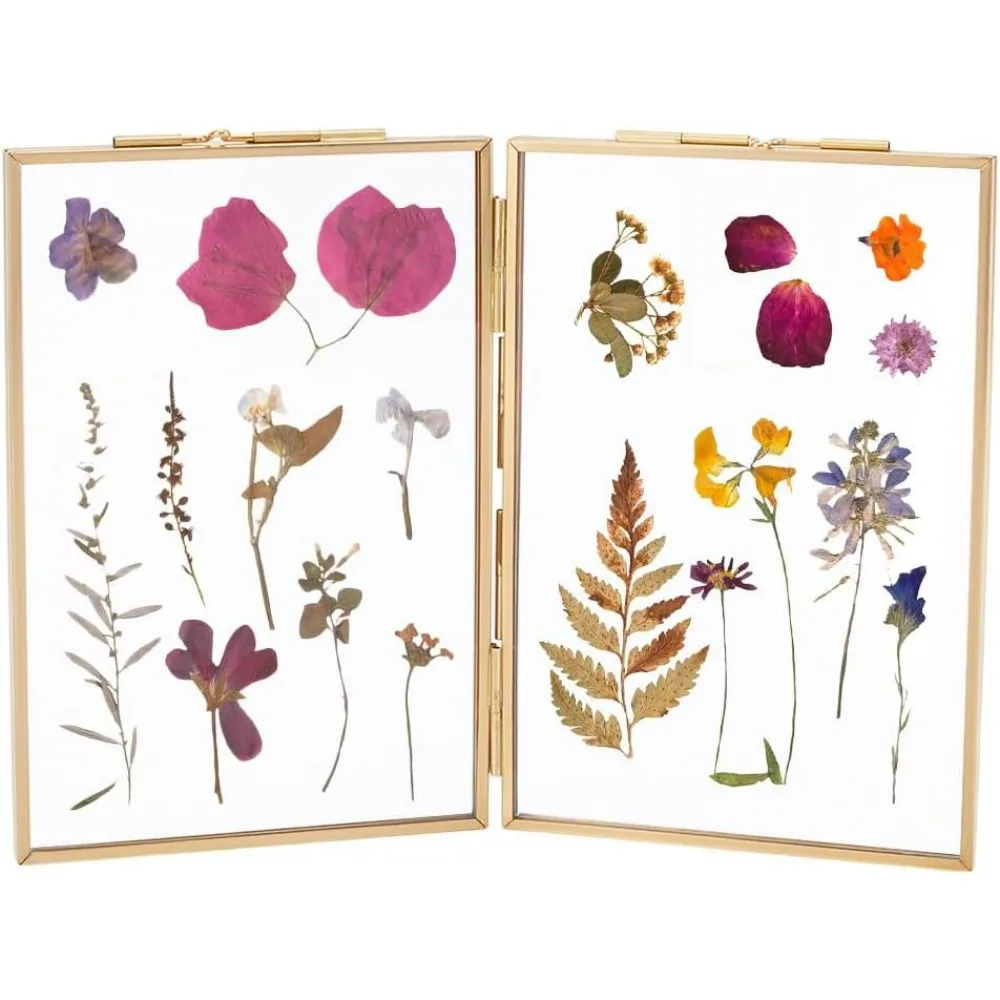 Brass Photo Frames Pressed Flower Frame Double Picture Frames with Glass Display Hinged Folding Frames for Dried
Brass Photo Frames Pressed Flower Frame Double Picture Frames with Glass Display Hinged Folding Frames for Dried