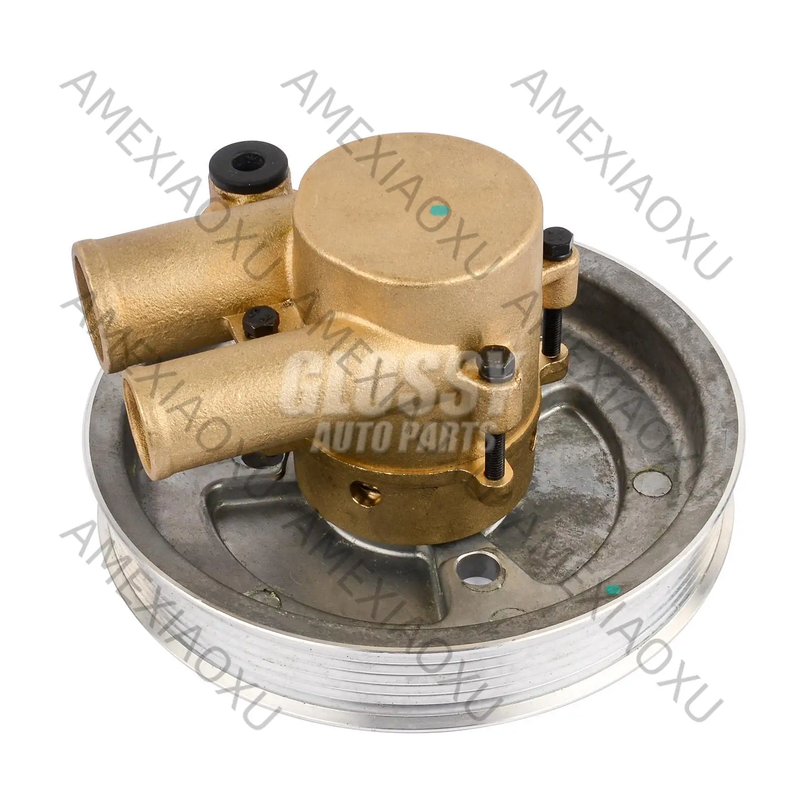 AP03 Raw Seawater Sea Water Pump For Volvo Penta 4.3L, 5.0L,5.7L V6 V8 Engines 3812519 21212799
AP03 Raw Seawater Sea Water Pump For Volvo Penta 4.3L, 5.0L,5.7L V6 V8 Engines 3812519 21212799