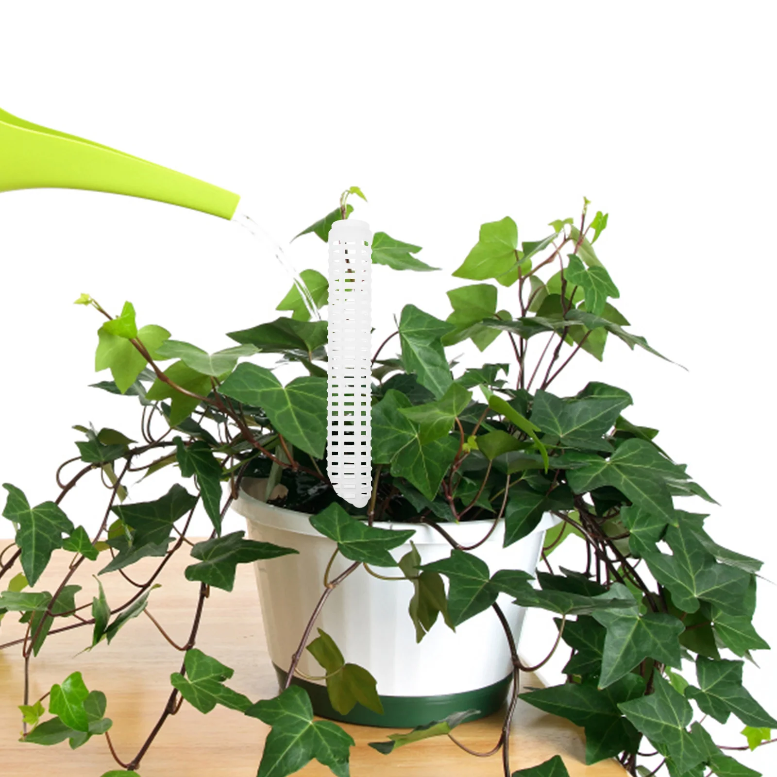 Plastic Moss Pole for Plants Monstera Support Vine Climbing Garden Trellis Plant Rack Display Holder Lightweight Durable
Plastic Moss Pole for Plants Monstera Support Vine Climbing Garden Trellis Plant Rack Display Holder Lightweight Durable