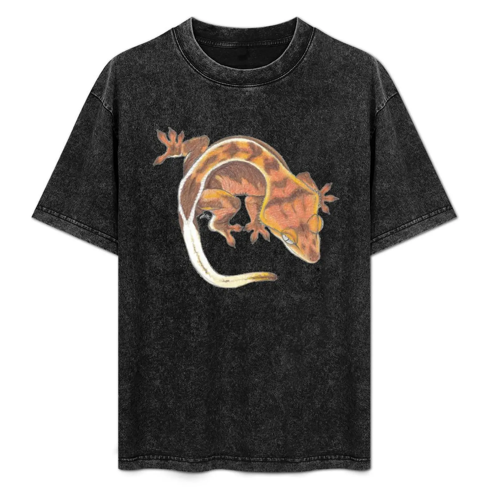 Red Crested Gecko T-Shirt Simple Trendy Casual T-Shirt
Red Crested Gecko T-Shirt Simple Trendy Casual T-Shirt