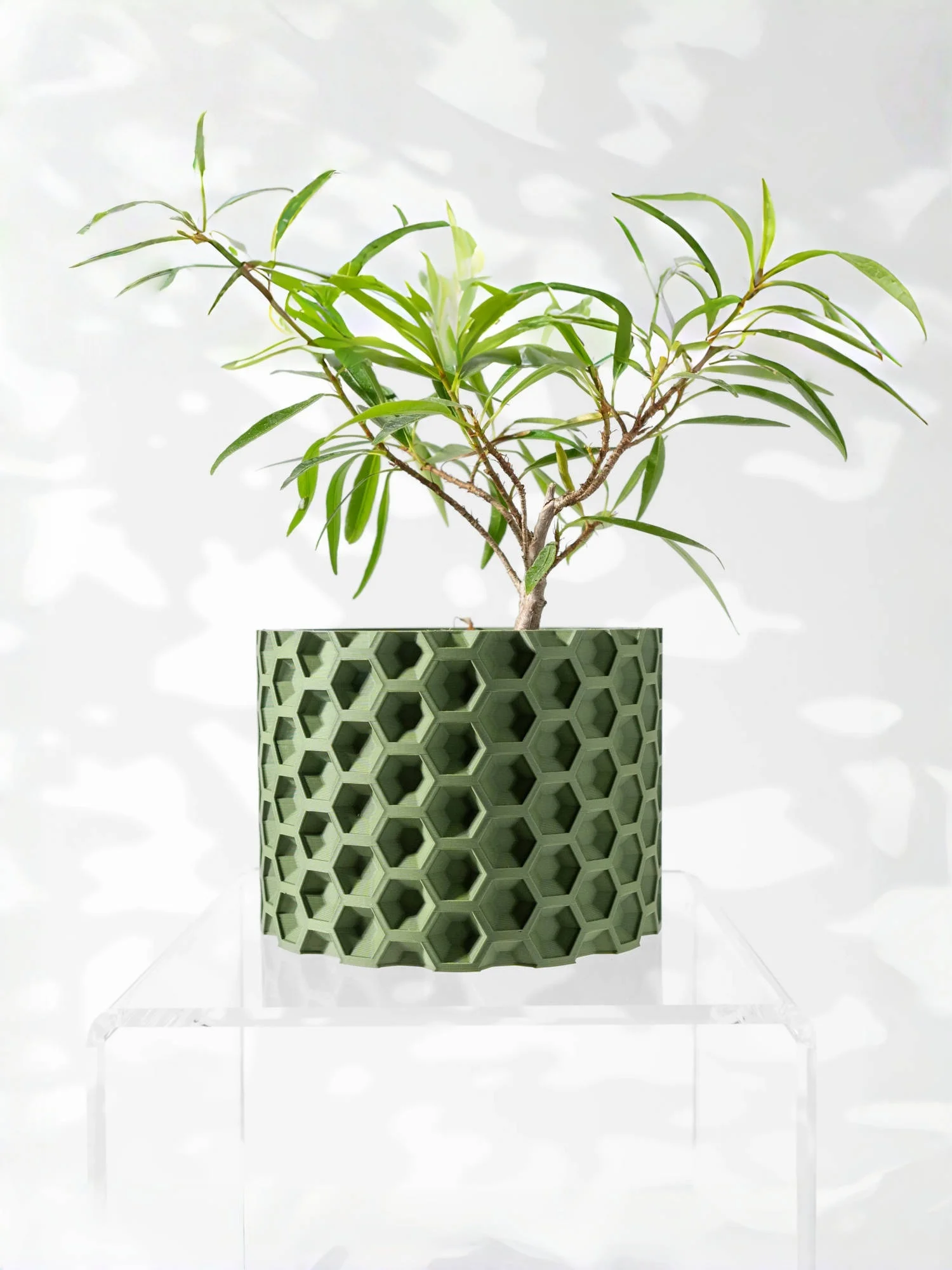 Modern Minimalist 3D Printed Plant Pot – Biodegradable Flower Planter for Home Decor, Eco-Friendly Sustainable Gift (Armos)
Modern Minimalist 3D Printed Plant Pot – Biodegradable Flower Planter for Home Decor, Eco-Friendly Sustainable Gift (Armos)