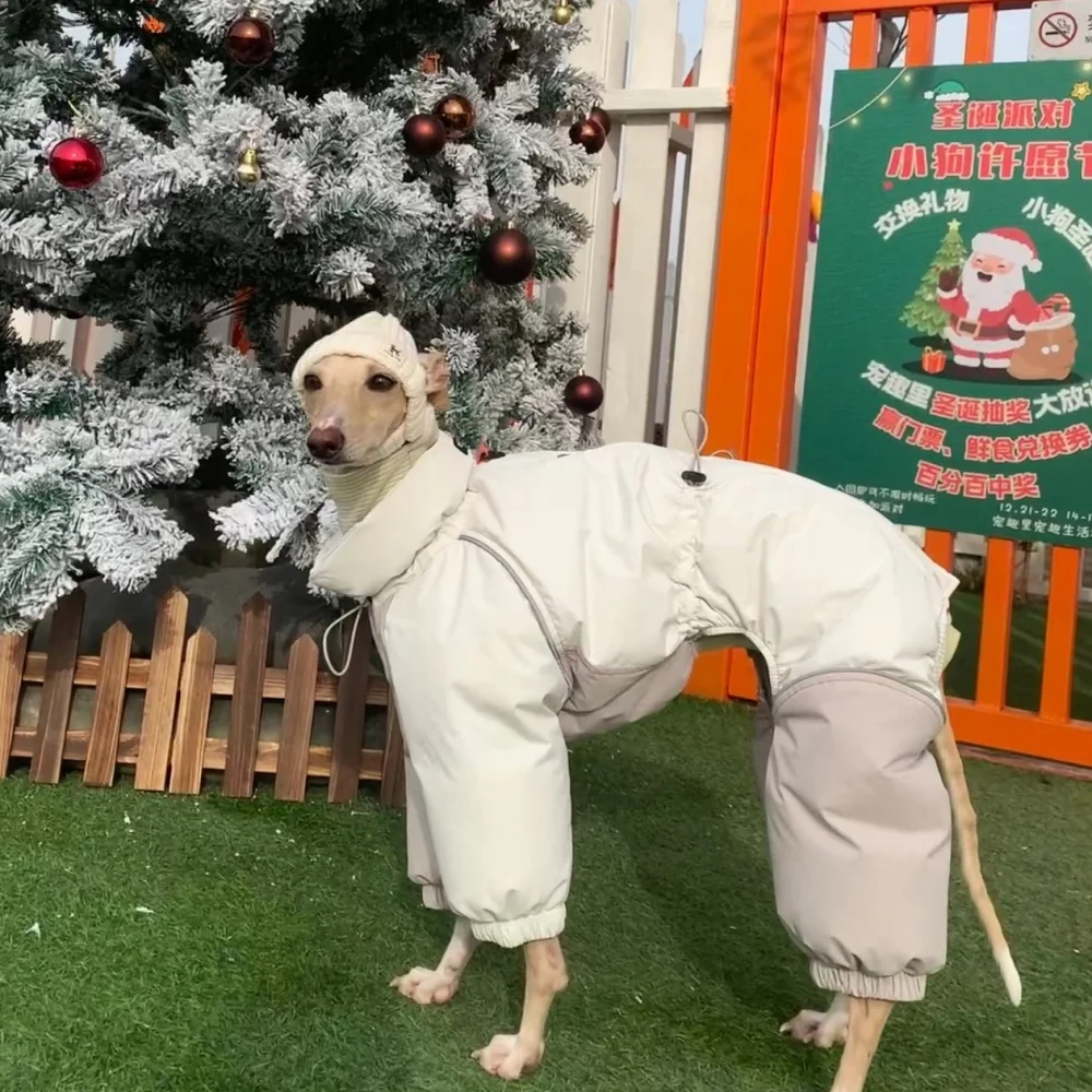 Winter Warm Beige-Grey Down Coat for Italian Greyhound Waterproof Windproof High-Neck Jacket for Bedlington in Cold Weather
Winter Warm Beige-Grey Down Coat for Italian Greyhound Waterproof Windproof High-Neck Jacket for Bedlington in Cold Weather