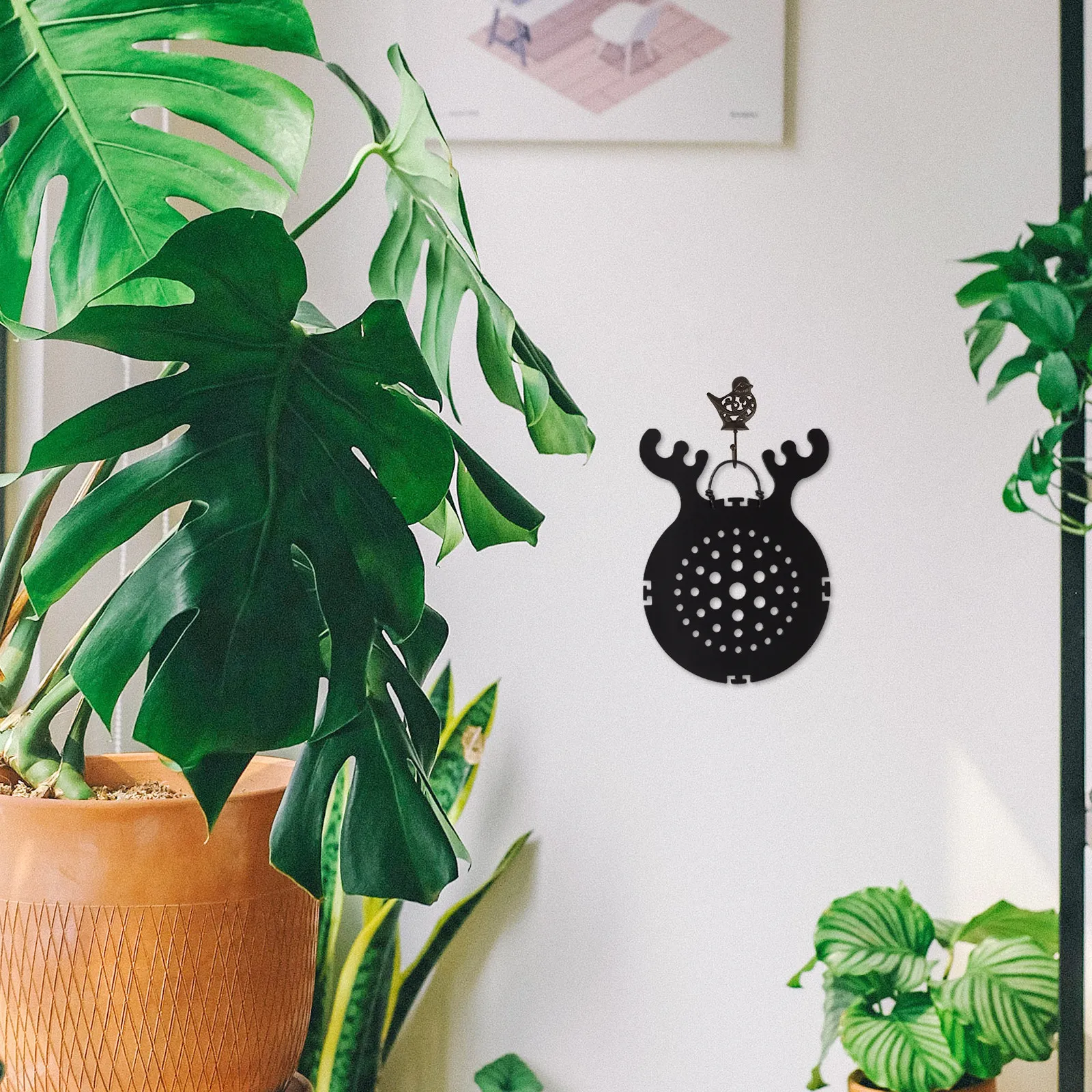 Современная подвесная доска для посадки папоротников: стильный акриловый держатель для настенного размещения комнатных растений, идеально подходит для платикерии
Современная подвесная доска для посадки папоротников: стильный акриловый держатель для настенного размещения комнатных растений, идеально подходит для платикерии