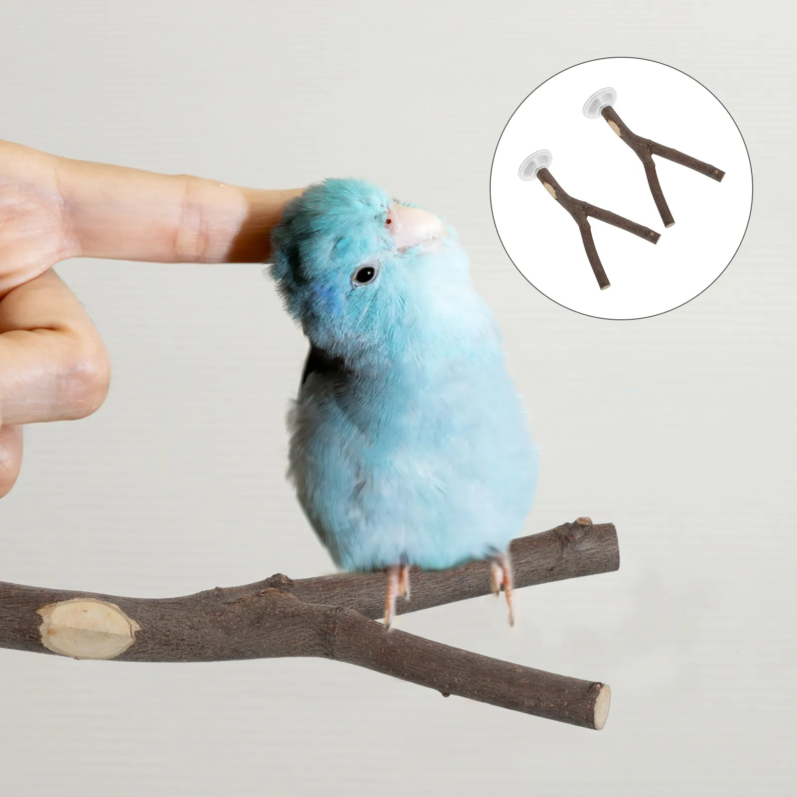 2Pcs Portable Parrot Perches Strong Suction Cup Bird Stand Wood Branch Design Window Shower Tile Indoor Perch for Small Medium
2Pcs Portable Parrot Perches Strong Suction Cup Bird Stand Wood Branch Design Window Shower Tile Indoor Perch for Small Medium