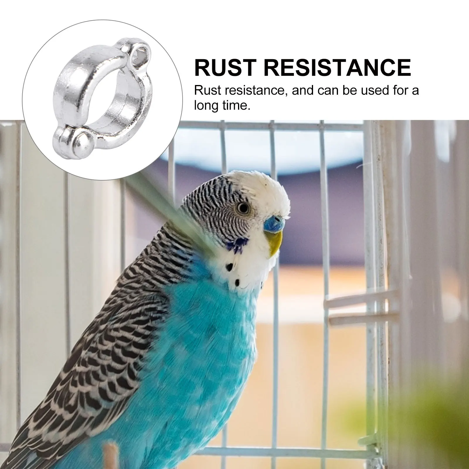 6Pcs Stainless Steel Bird Foot Rings Lightweight Rotating Clamp Durable Rust Resistant Parrot Leg Rings for Training Outdoor Use
6Pcs Stainless Steel Bird Foot Rings Lightweight Rotating Clamp Durable Rust Resistant Parrot Leg Rings for Training Outdoor Use