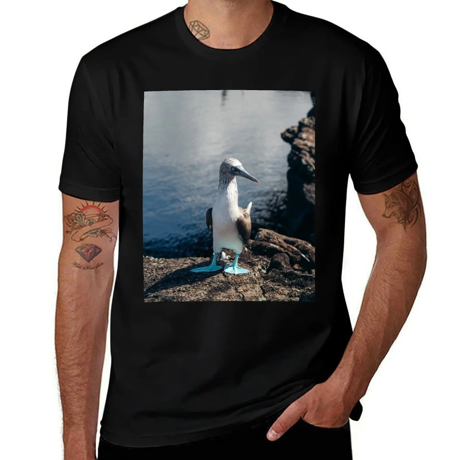 Blue Footed Booby of Galapagos T-Shirt Vintage Style Printed Top
Blue Footed Booby of Galapagos T-Shirt Vintage Style Printed Top