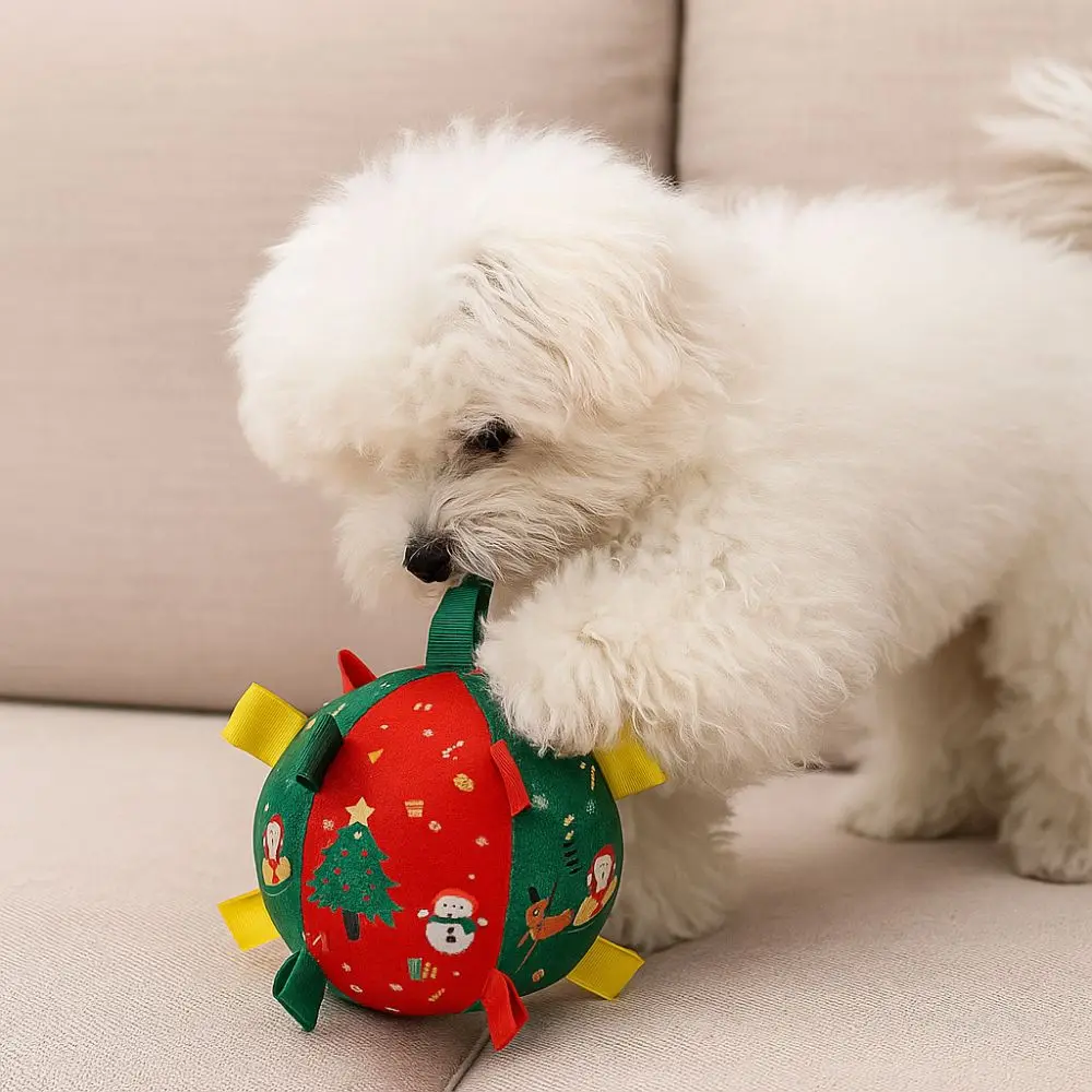 Bite-Resistant Dog Squeaky Ball Cartoon Snowman Puppy Chewing Toy Santa Claus Built in Bell Interactive Dogs Toys
Bite-Resistant Dog Squeaky Ball Cartoon Snowman Puppy Chewing Toy Santa Claus Built in Bell Interactive Dogs Toys
