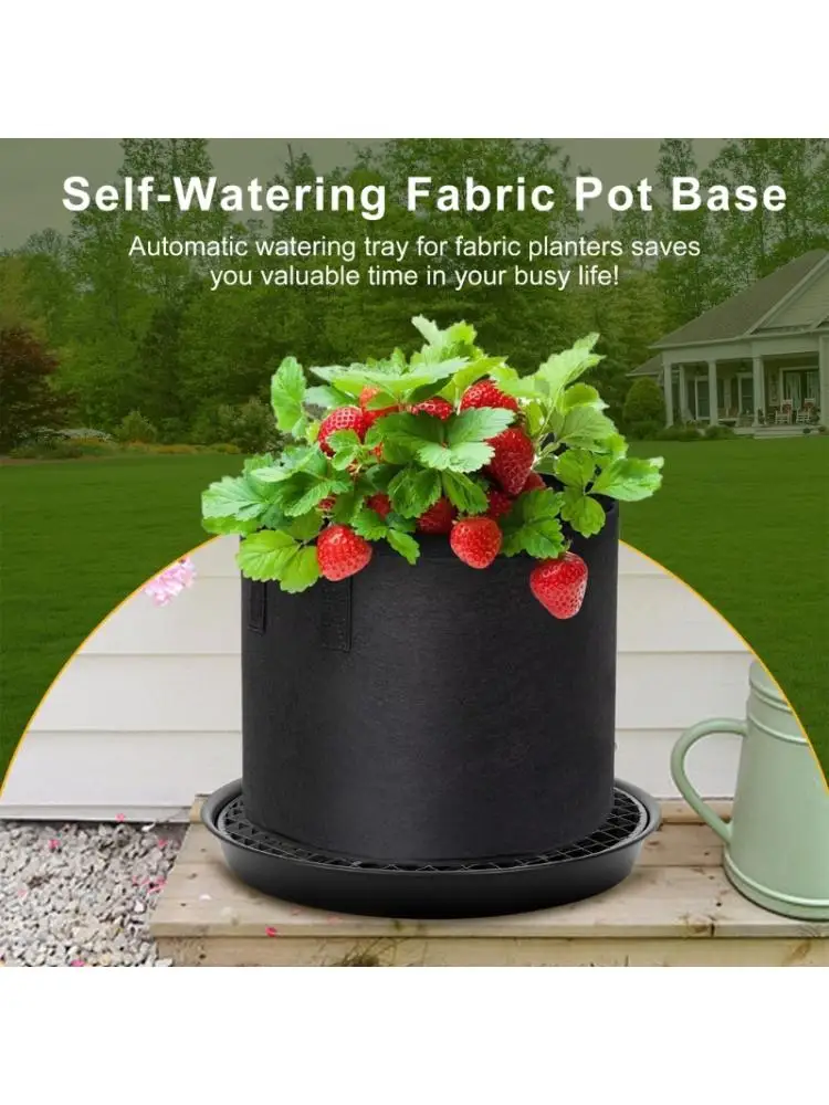 Подставки для контейнеров из увлажняющей ткани с сетчатой структурой для улучшенной вентиляции и постоянного здания из для и
Подставки для контейнеров из увлажняющей ткани с сетчатой структурой для улучшенной вентиляции и постоянного здания из для и