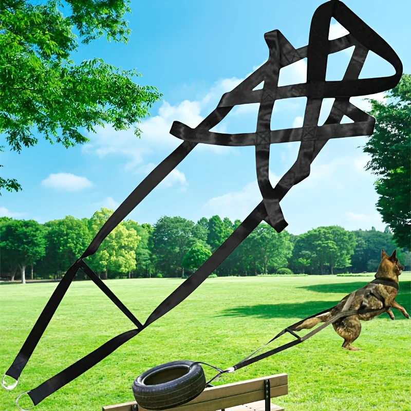 Pet training harness strength training weightlifting sledding traction high-strength nylon material sturdy and durable
Pet training harness strength training weightlifting sledding traction high-strength nylon material sturdy and durable