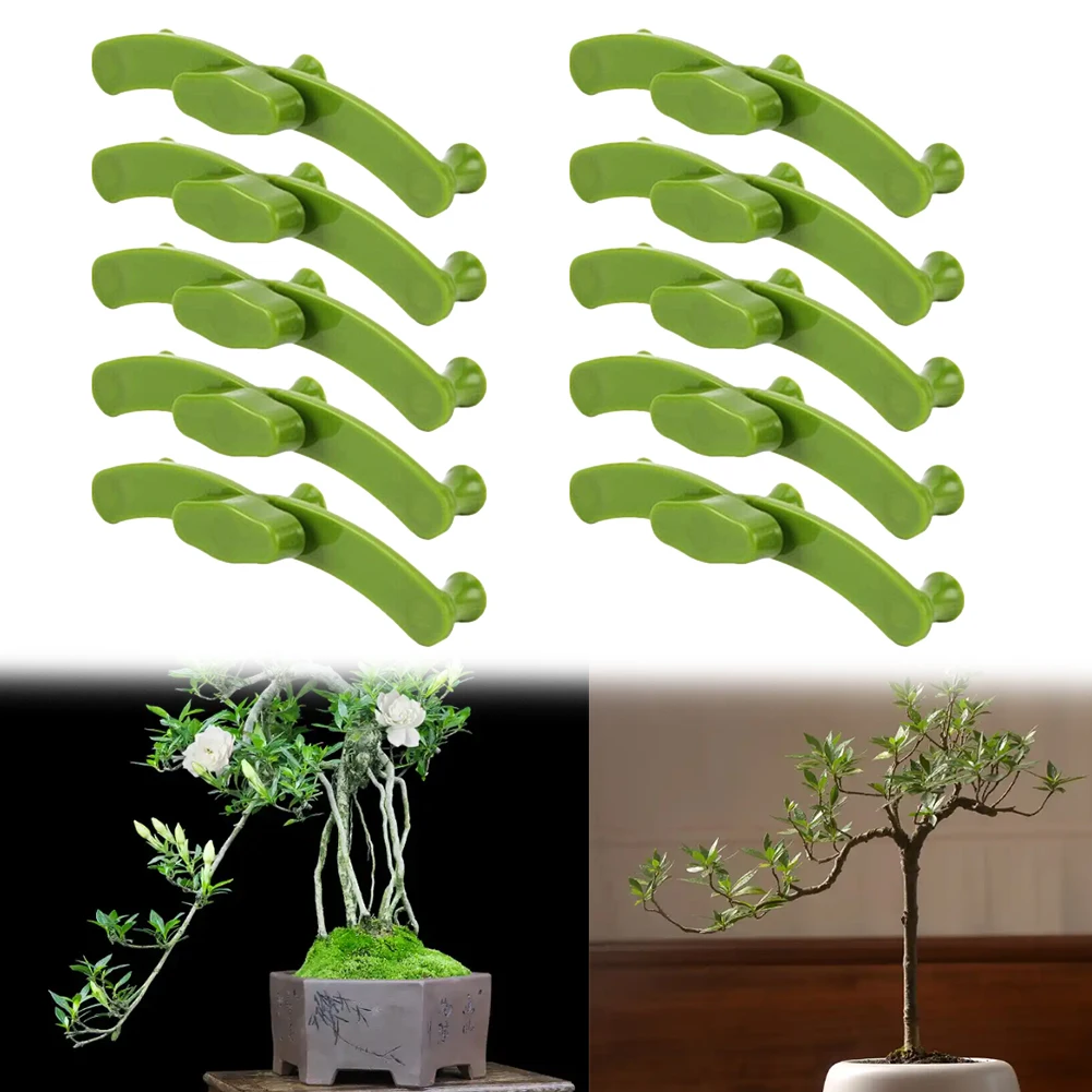 10 Pack Adjustable Branch Shaping Tools for Bonsai and Horticulture Promote Air Circulation and Sunlight Exposure
10 Pack Adjustable Branch Shaping Tools for Bonsai and Horticulture Promote Air Circulation and Sunlight Exposure