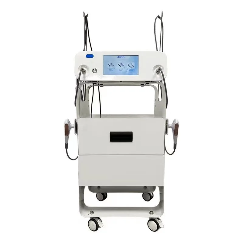 448 Body Salon Dedicated Shaping Repairing Detoxification Weight Loss Scraping Rejuvenation Temperature Controller