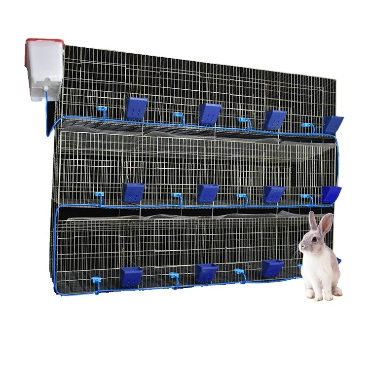 Manufacturer Supplies Rabbit Cages, Rabbit Breeding Cages, Rabbit Breeding Cage Accessories, and Sub-cages
Manufacturer Supplies Rabbit Cages, Rabbit Breeding Cages, Rabbit Breeding Cage Accessories, and Sub-cages