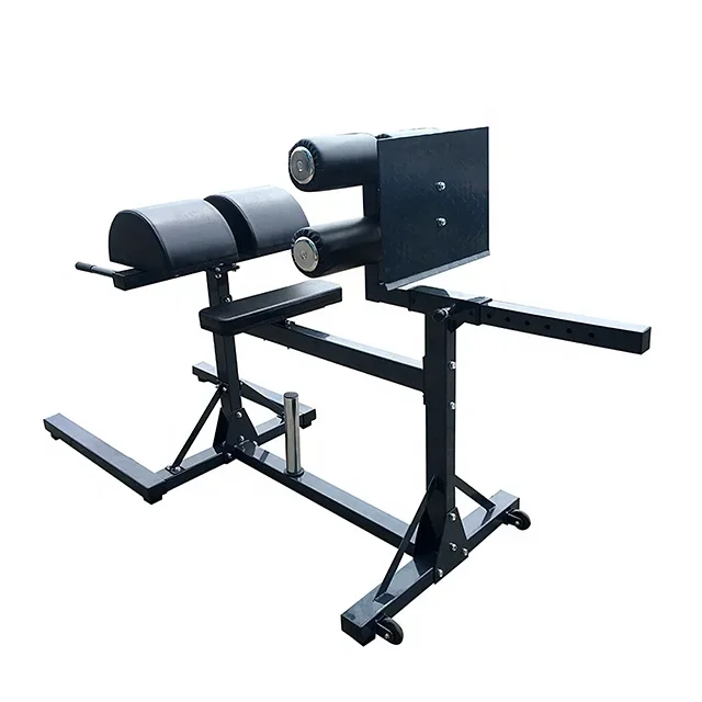 Professional Commercial Indoor Fitness Equipment Gym Roman Chair Gym Equipment
Professional Commercial Indoor Fitness Equipment Gym Roman Chair Gym Equipment