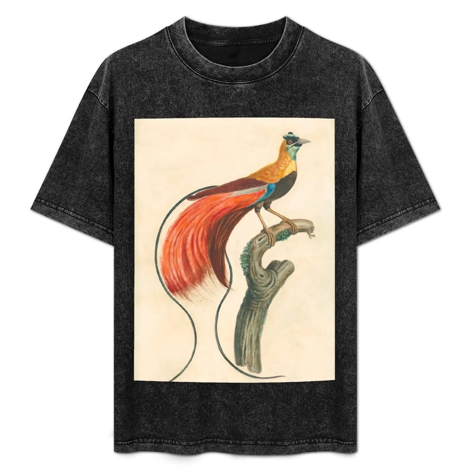 Raggiana Bird of Paradise T-Shirt Trendy Pattern T-Shirt for Men
Raggiana Bird of Paradise T-Shirt Trendy Pattern T-Shirt for Men