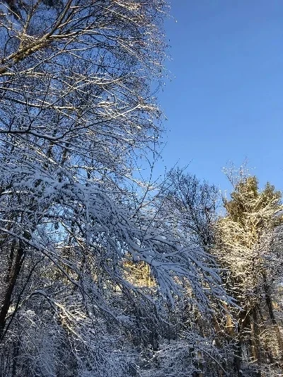 Metal Frame Suitable for WLtoys 124016 124017 124018 124019 124007 RC Car Metal Upgrade OP Accessories Parts Kit
Metal Frame Suitable for WLtoys 124016 124017 124018 124019 124007 RC Car Metal Upgrade OP Accessories Parts Kit