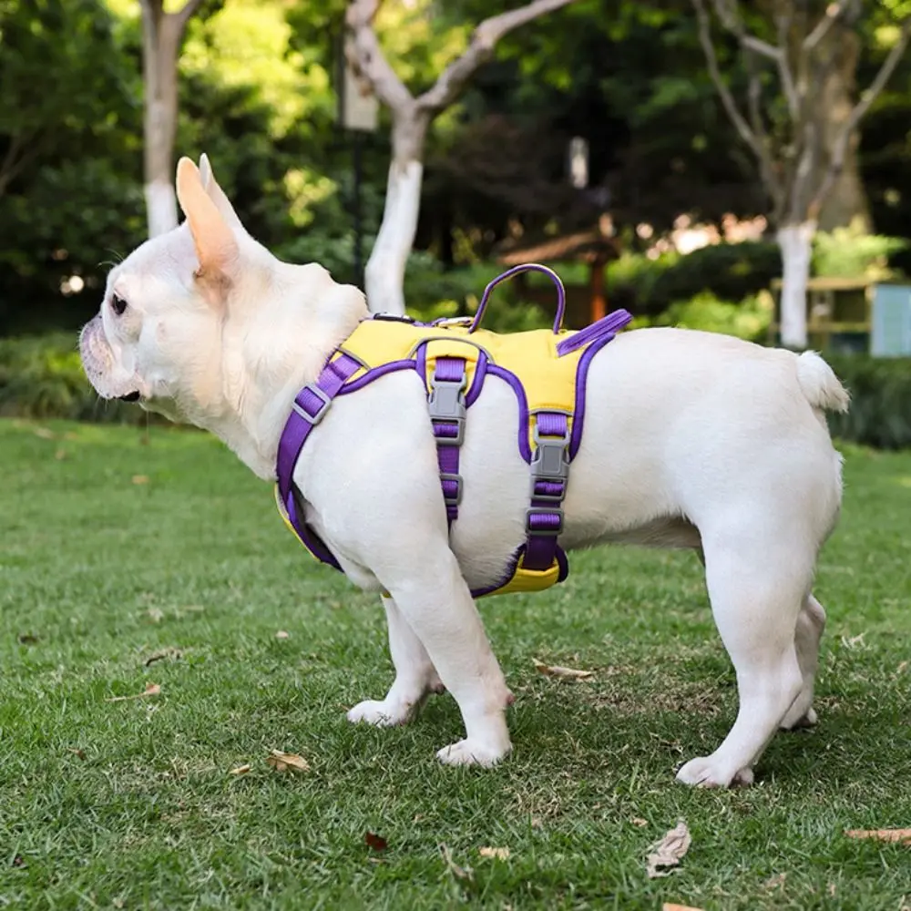 Adjustable Reflective Puppy Chest Strap Oxford Nylon Dog Harness Vest with Handle Explosion-proof Dog Safety Lead Strap Training
Adjustable Reflective Puppy Chest Strap Oxford Nylon Dog Harness Vest with Handle Explosion-proof Dog Safety Lead Strap Training