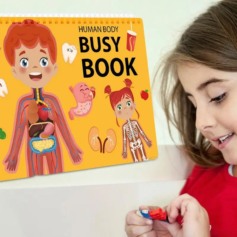 Human Body Busy Book For Kids Activity Sensory Fine Motor Skill Toy Human Body Book For Toddler Kindergarten Learning Sensory
Human Body Busy Book For Kids Activity Sensory Fine Motor Skill Toy Human Body Book For Toddler Kindergarten Learning Sensory