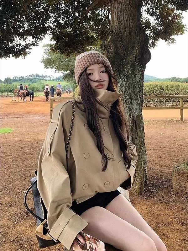 Женская повседневная ветровка с воротником-стойкой в британском стиле, осень 2025, модная, маленький размер, для поездок на работу, прямой крой
Женская повседневная ветровка с воротником-стойкой в британском стиле, осень 2025, модная, маленький размер, для поездок на работу, прямой крой