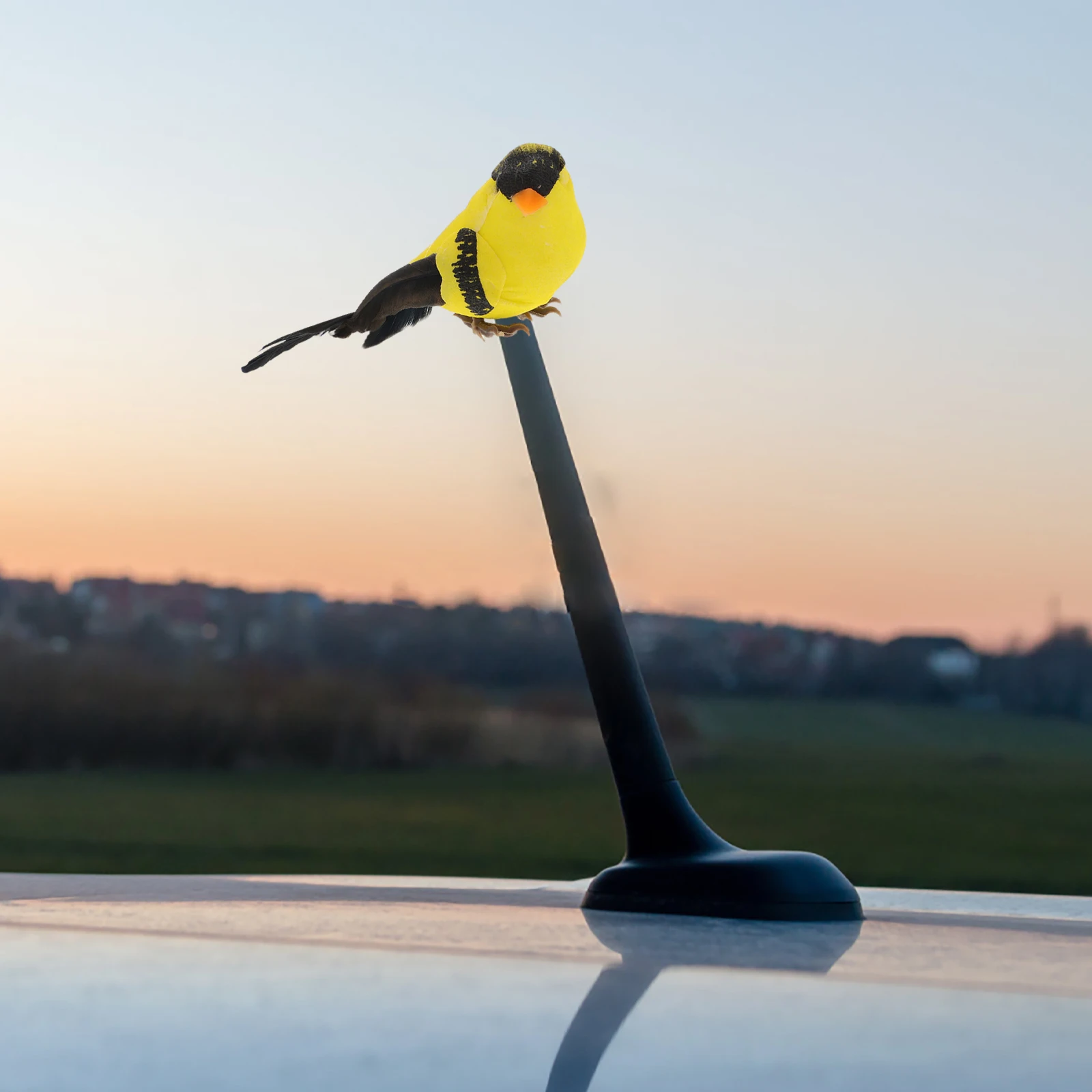 Car Antenna Decoration Cute Cartoon Cactus Plastic Car Accessories Roof Decor Easy Installation Durable Stylish Exterior
Car Antenna Decoration Cute Cartoon Cactus Plastic Car Accessories Roof Decor Easy Installation Durable Stylish Exterior