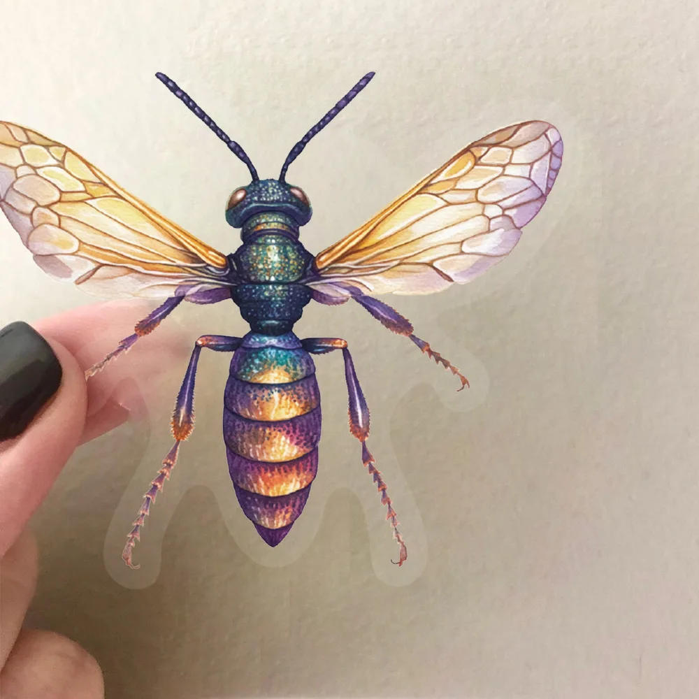 10/50PCS Animal Transparent Stickers Funny Insect DIY Decoration Kids Toys Suitcase Fridge Laptop Guitar Bike Graffiti Decals
10/50PCS Animal Transparent Stickers Funny Insect DIY Decoration Kids Toys Suitcase Fridge Laptop Guitar Bike Graffiti Decals