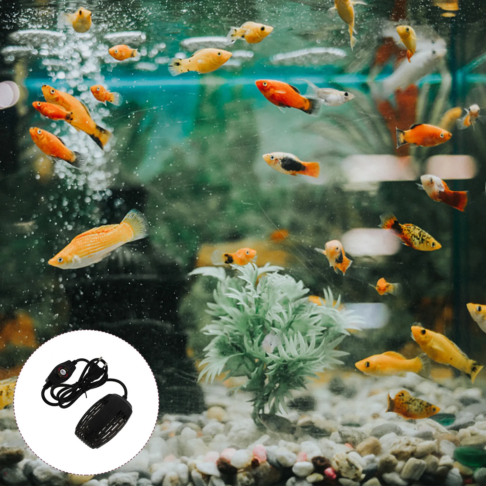 Fish Tank Heating Rod Mini Size Plastic Aquarium Heater Auto Constant Temperature Heating Bar for Turtle Tank Eu Plug
Fish Tank Heating Rod Mini Size Plastic Aquarium Heater Auto Constant Temperature Heating Bar for Turtle Tank Eu Plug