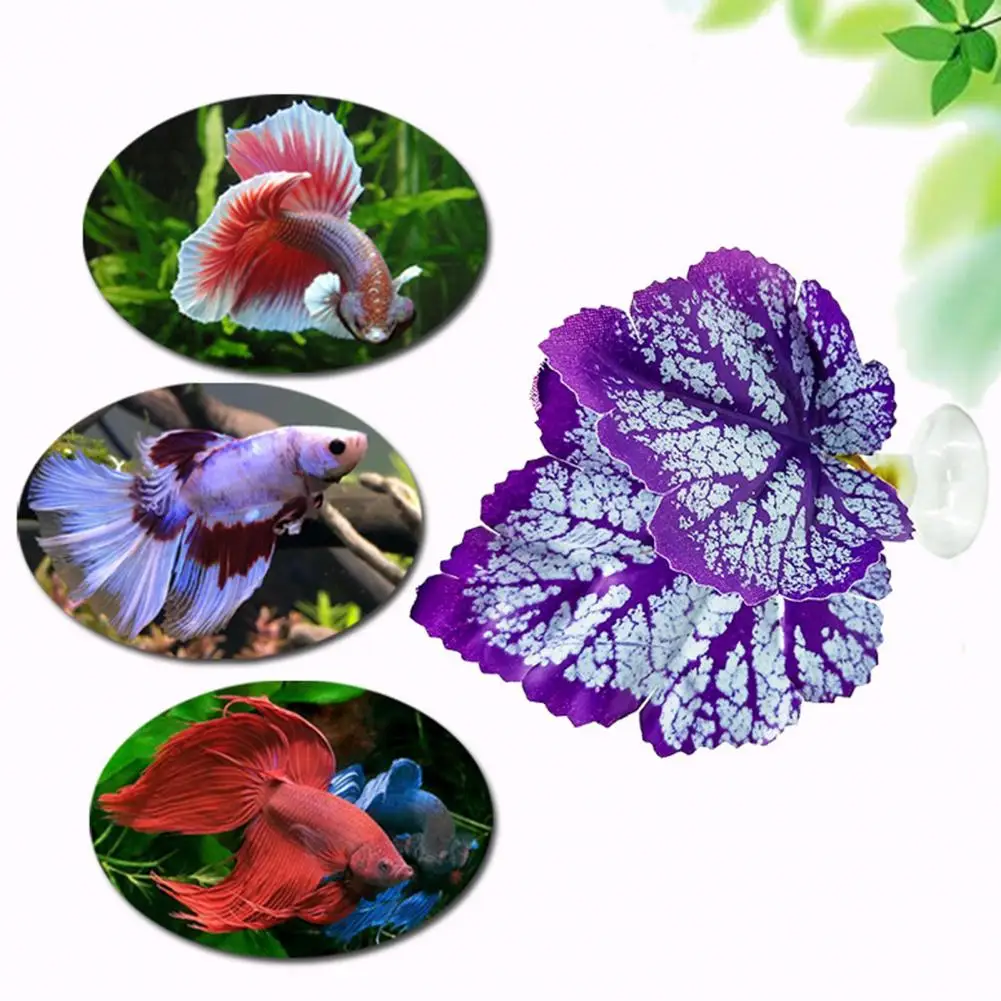 Vibrant Aquarium Plants Realistic Betta Fish Leaf Pad Hammock Aquarium Decor for Privacy Enhancement Fish Tank Decoration
Vibrant Aquarium Plants Realistic Betta Fish Leaf Pad Hammock Aquarium Decor for Privacy Enhancement Fish Tank Decoration
