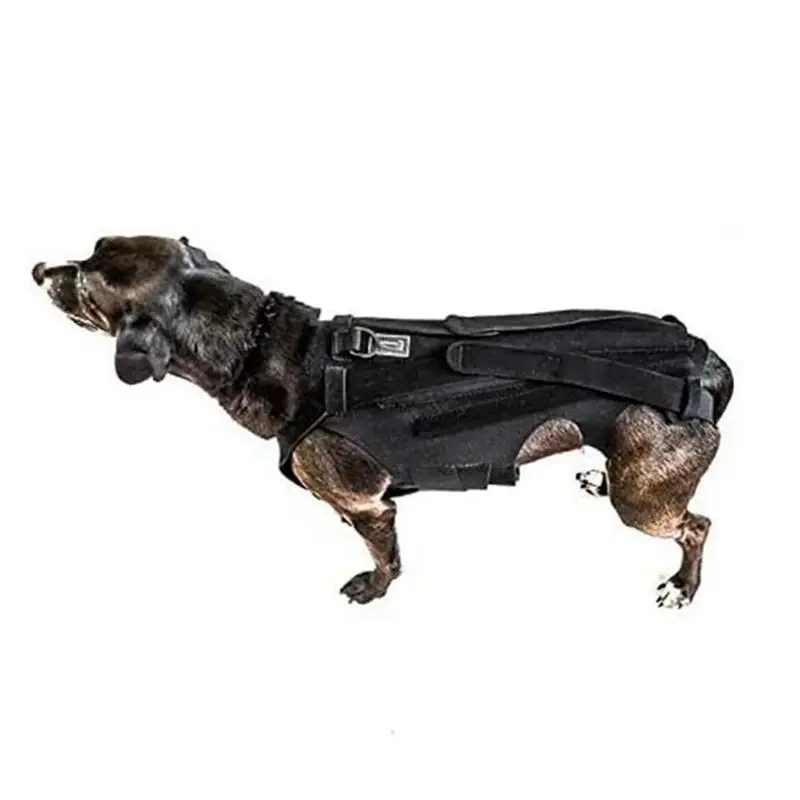 Dog Back Brace For Protector Dog Back Brace Back IVDD,Pet Body Dog Harness Clothing Dog Full Comfortable
Dog Back Brace For Protector Dog Back Brace Back IVDD,Pet Body Dog Harness Clothing Dog Full Comfortable