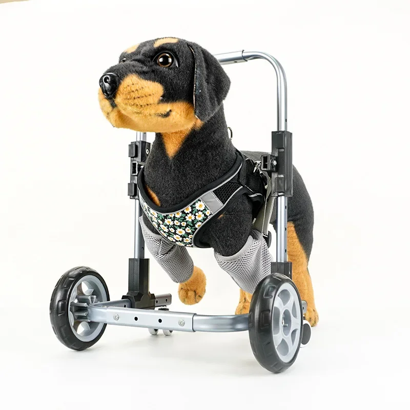 Dog Pet Forelimb Wheelchair Small and Medium Wheelchair Mobility Light Dog Assisted Vehicle Affordable Front Leg Disability
Dog Pet Forelimb Wheelchair Small and Medium Wheelchair Mobility Light Dog Assisted Vehicle Affordable Front Leg Disability