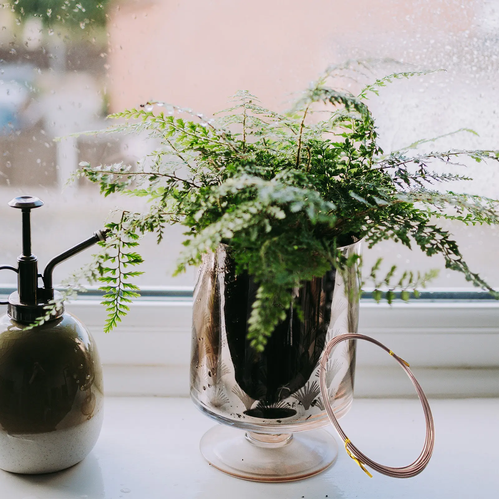 6Pcs Colorful Aluminum Bonsai Training Wire for Branch Bending and Tree Shaping Long-Lasting Metal Wiring for Garden Plants
6Pcs Colorful Aluminum Bonsai Training Wire for Branch Bending and Tree Shaping Long-Lasting Metal Wiring for Garden Plants