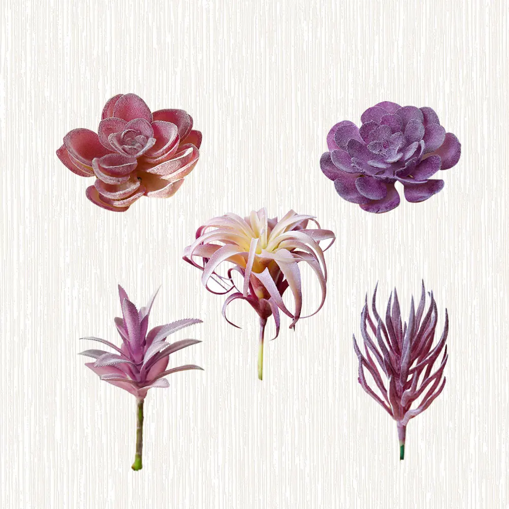 Artificial Succulent Flower Head Simulation Plants Creative DIY Flocking Home Decor Lifelike Office Bedroom Gifts
Artificial Succulent Flower Head Simulation Plants Creative DIY Flocking Home Decor Lifelike Office Bedroom Gifts