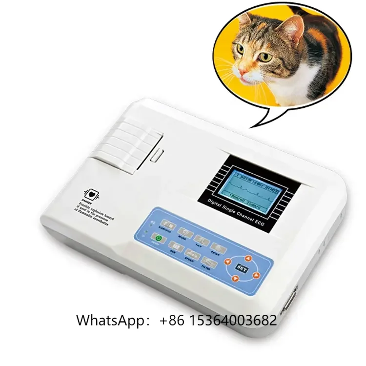 ECG100G VET Animal Health Monitoring 1-channel Diagnostic Use Equipment Veterinary ECG Machine
ECG100G VET Animal Health Monitoring 1-channel Diagnostic Use Equipment Veterinary ECG Machine