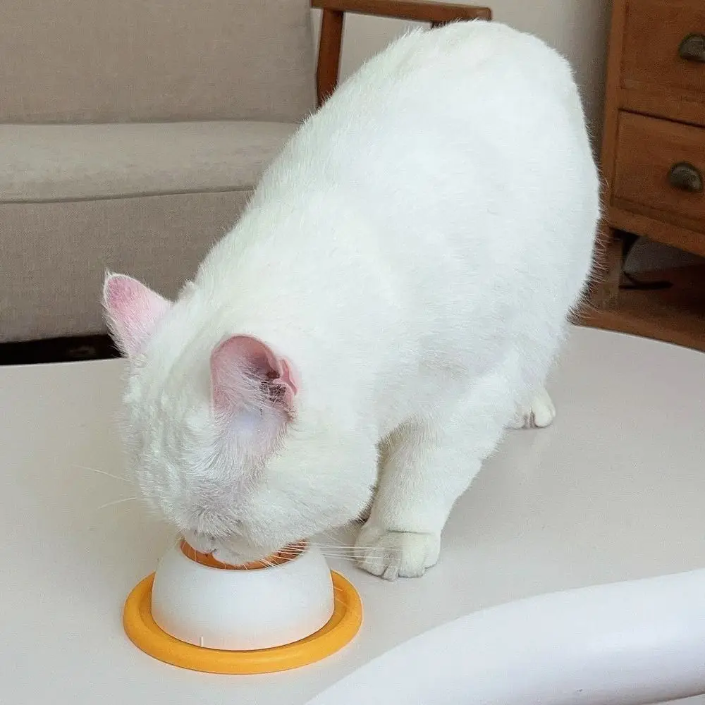 Anti-spill Dog Lick Bite Resistant Plastic Yogurt Licking Plate Non Tip Design Self-Soothing Pet Snack Bowl Healthy Eating
Anti-spill Dog Lick Bite Resistant Plastic Yogurt Licking Plate Non Tip Design Self-Soothing Pet Snack Bowl Healthy Eating