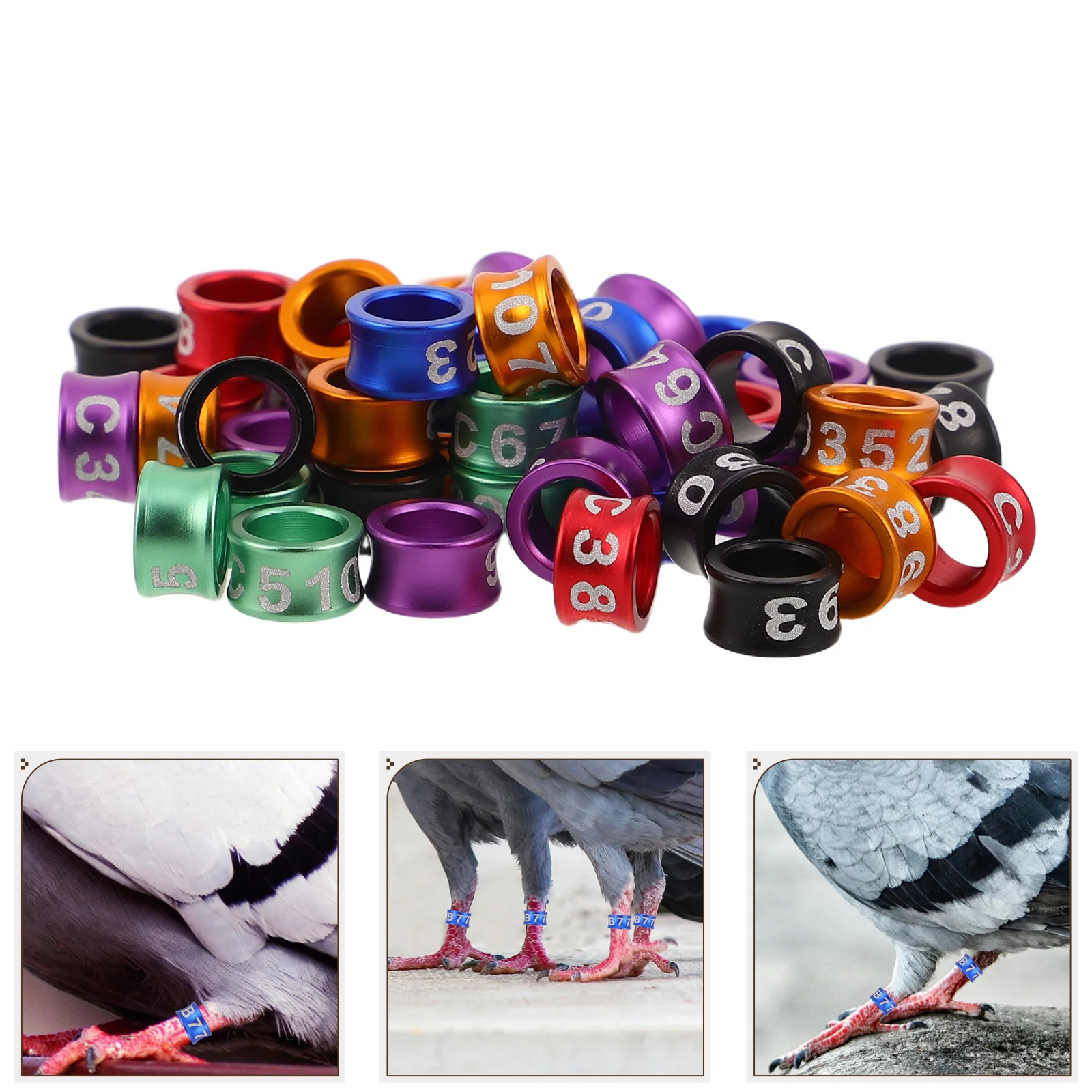 50 Pcs Parrot Identification Leg Ring Bird Foot Rings Ankle Metal Chicken Bands
50 Pcs Parrot Identification Leg Ring Bird Foot Rings Ankle Metal Chicken Bands