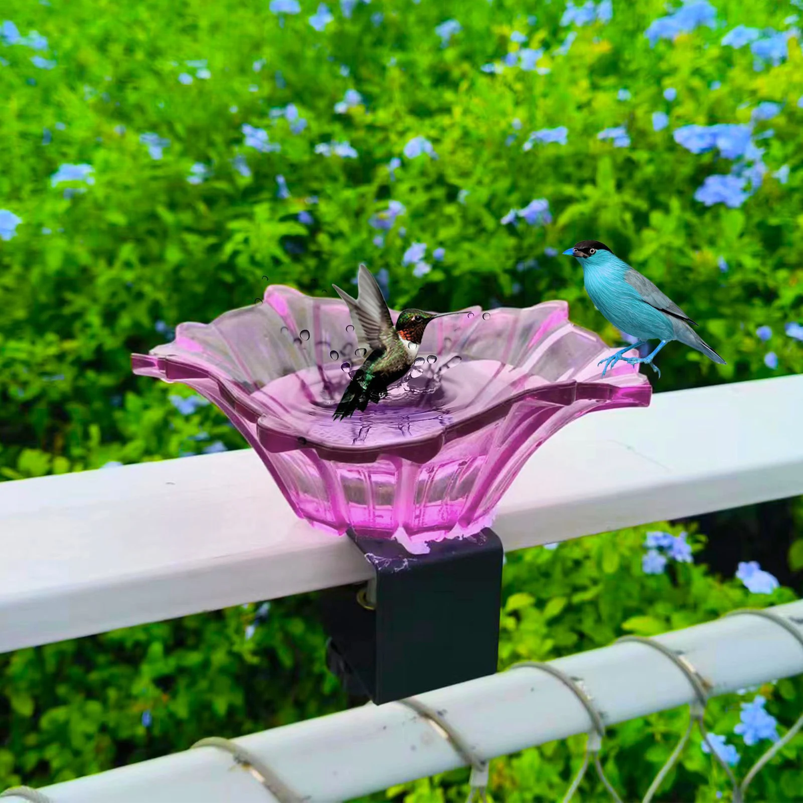 Hanging Hummers Bird Feeder Fixed to the Railing with Hook Design for Outdoors Hanging Outside Birds
Hanging Hummers Bird Feeder Fixed to the Railing with Hook Design for Outdoors Hanging Outside Birds