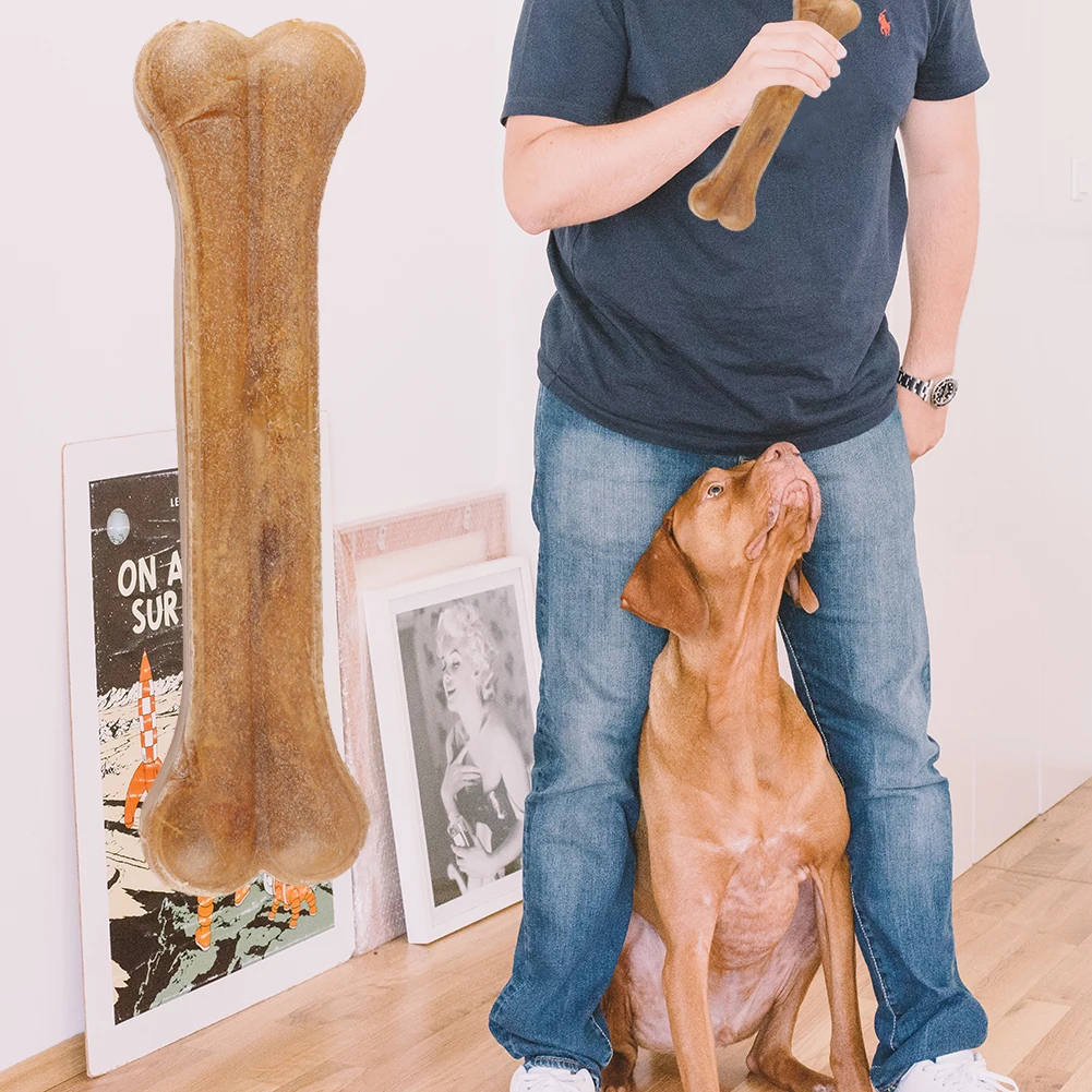 8 Inch Leather Chew Bone Non-Toxic Creative Molar Stick Anti-bite Puppy Teething Toys Indestructible for Small Medium Large Dog
8 Inch Leather Chew Bone Non-Toxic Creative Molar Stick Anti-bite Puppy Teething Toys Indestructible for Small Medium Large Dog