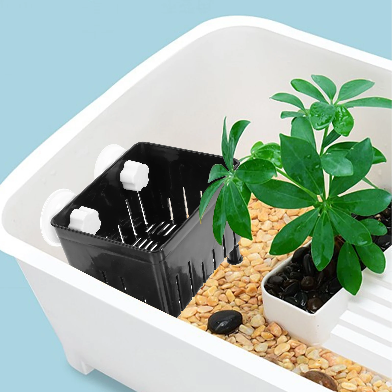 Tortoise Isolation Box Aquarium Breeder Box Fish Tank Accessory Clear View Durable Rubber Plastic Material Suction Cup Easy
Tortoise Isolation Box Aquarium Breeder Box Fish Tank Accessory Clear View Durable Rubber Plastic Material Suction Cup Easy