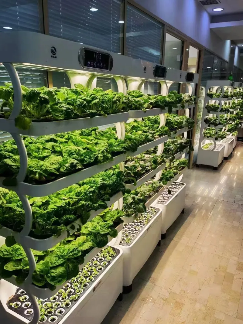 Indoor Small Home Garden Planter Smart Led Grow Light Microgreens Greenhouse Hydroponic Kit Hydroponics Growing System Vertical
Indoor Small Home Garden Planter Smart Led Grow Light Microgreens Greenhouse Hydroponic Kit Hydroponics Growing System Vertical