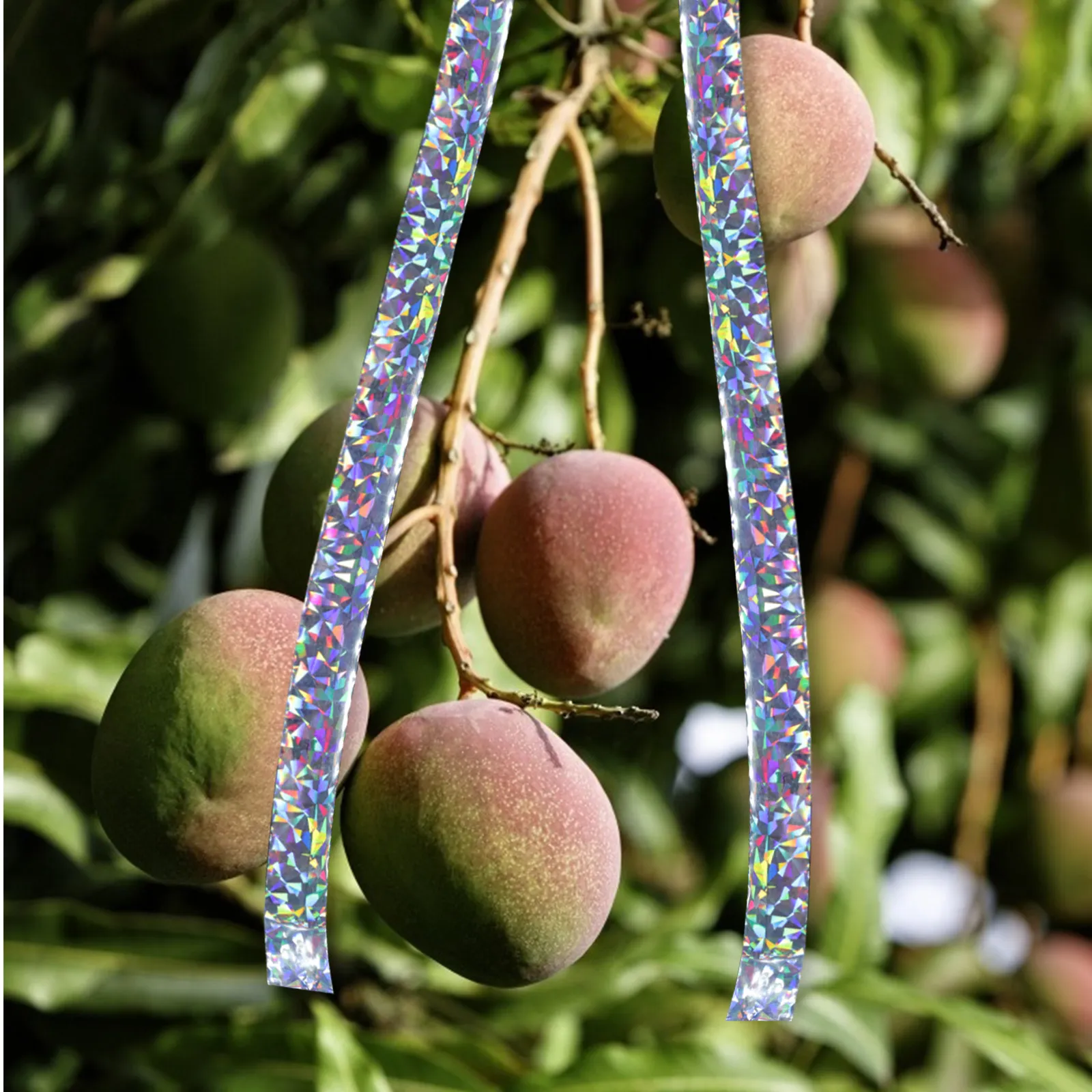 2 шт. отпугивающих лент для птиц, светоотражающая лента для отпугивания птиц, подвесное средство для отпугивания голубей, крапивок, сороконожек, для сада и двора
2 шт. отпугивающих лент для птиц, светоотражающая лента для отпугивания птиц, подвесное средство для отпугивания голубей, крапивок, сороконожек, для сада и двора