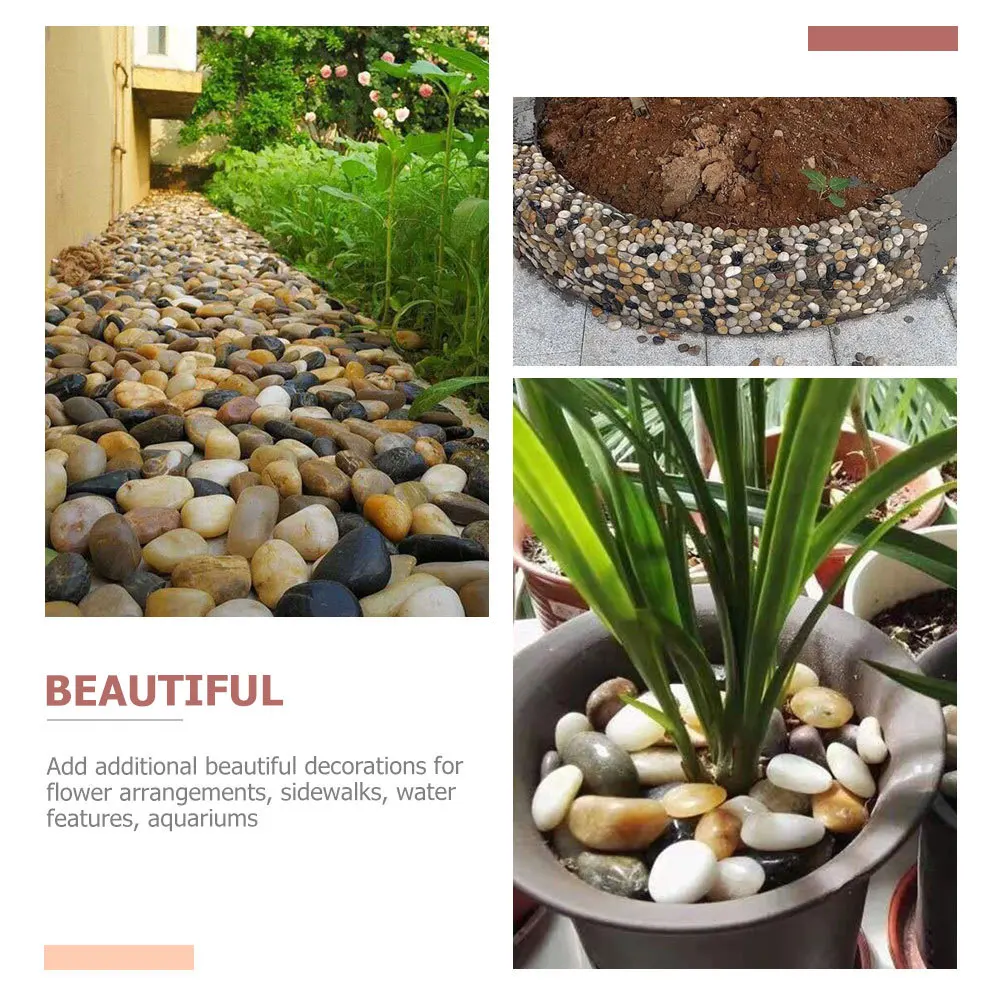 3pcs 3 Packs Natural Landscaping Stones For Aquarium Plants Moisture Retention Decorative Pebbles Gravel Fish Tank Vase Filler
3pcs 3 Packs Natural Landscaping Stones For Aquarium Plants Moisture Retention Decorative Pebbles Gravel Fish Tank Vase Filler