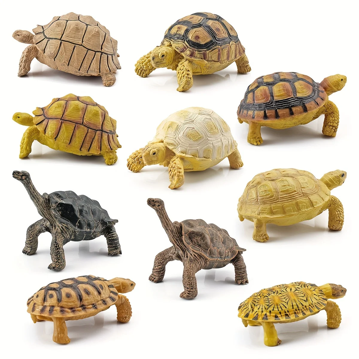 Simulation models of Sulcata tortoises, leopard tortoises, and giant tortoises as toys
Simulation models of Sulcata tortoises, leopard tortoises, and giant tortoises as toys