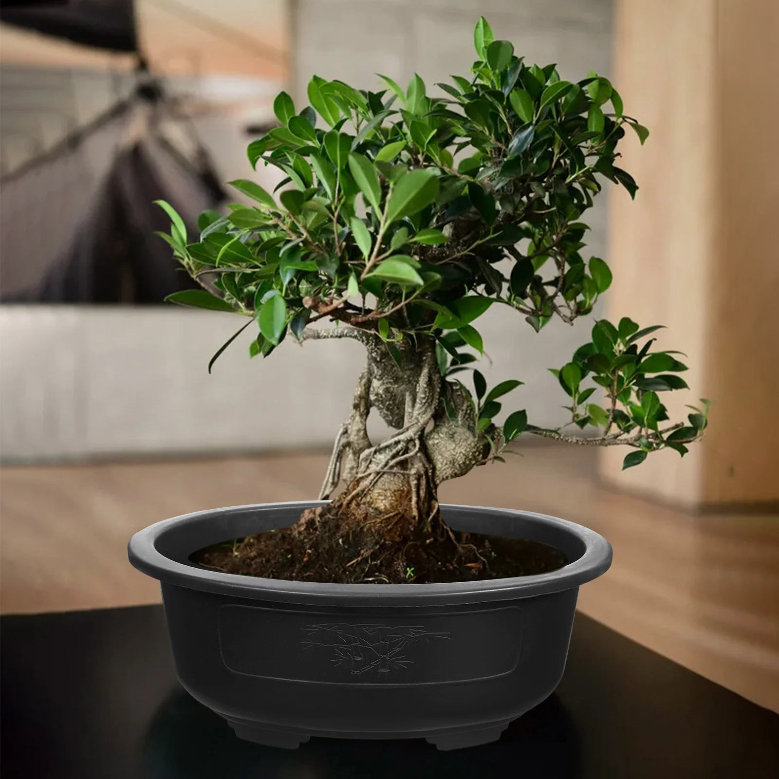 2Pcs Oval Bonsai Pot Large-Capacity Flowerpot Reusable Plastic Planter with Drainage Holes for Garden Balcony Windowsill
2Pcs Oval Bonsai Pot Large-Capacity Flowerpot Reusable Plastic Planter with Drainage Holes for Garden Balcony Windowsill