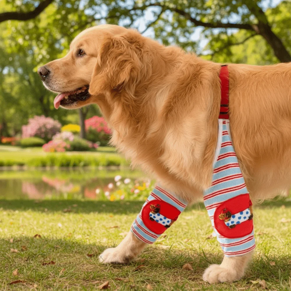 Creative Striped Design Dog Elbow Warmers Soft Cartoon Pattern Dog Elbow Brace Thickened Adjustable Dog Leg Warmers Medium Dogs
Creative Striped Design Dog Elbow Warmers Soft Cartoon Pattern Dog Elbow Brace Thickened Adjustable Dog Leg Warmers Medium Dogs