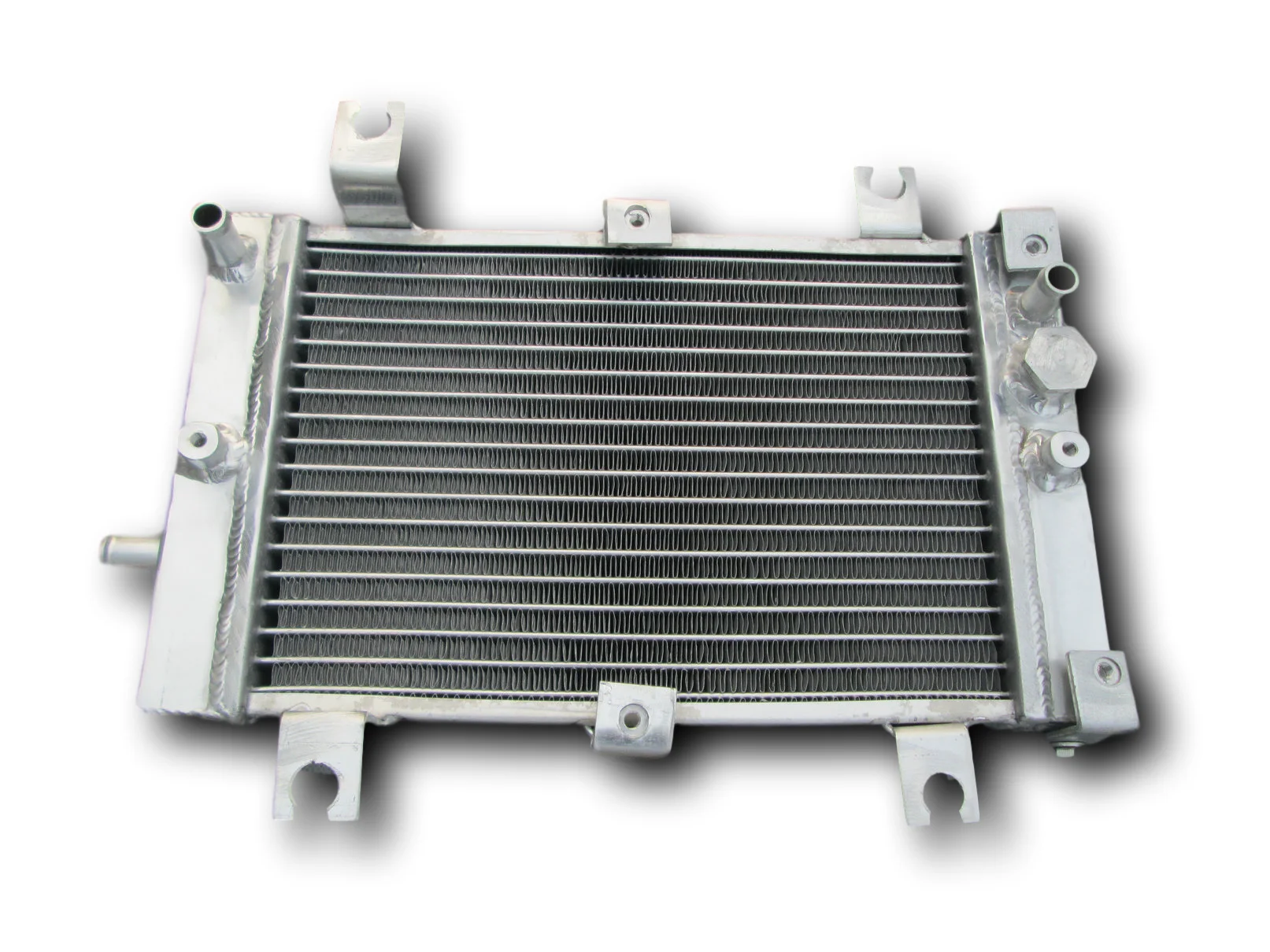 For 2007-2012 Can-Am DS250 DS 250 Aluminum Radiator Cooler Cooling Coolant 2007 2008 2009 2010 2011 2012
For 2007-2012 Can-Am DS250 DS 250 Aluminum Radiator Cooler Cooling Coolant 2007 2008 2009 2010 2011 2012