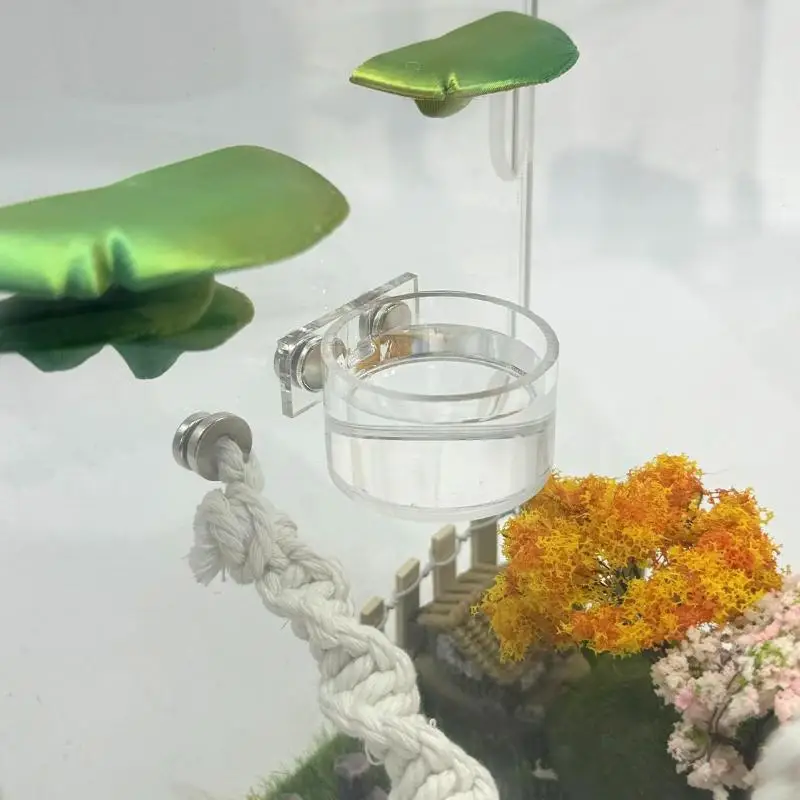 New Reptile Feeding Dish Set Mini Magnetic Food Water Bowl With Feeding Clip For Spider Manti Cricket Enclosure Accessories
New Reptile Feeding Dish Set Mini Magnetic Food Water Bowl With Feeding Clip For Spider Manti Cricket Enclosure Accessories