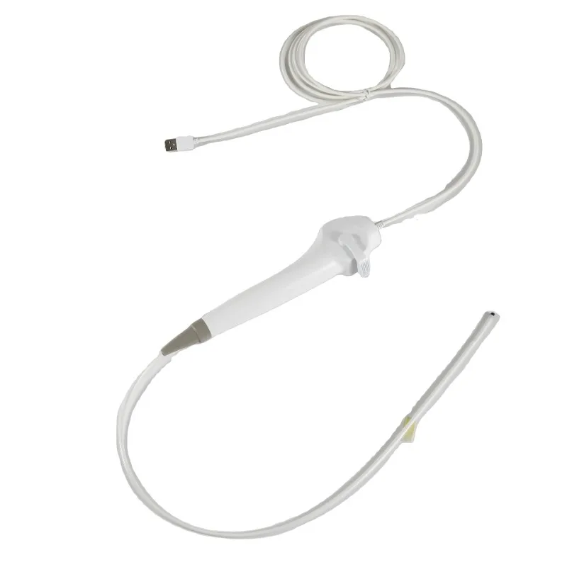 2024 Nasopharyngoscope China BESDATA Portable Low Price Flexible Endoscopy 3.8mm HD Rhinolaryngoscope For Examination Diagnose
2024 Nasopharyngoscope China BESDATA Portable Low Price Flexible Endoscopy 3.8mm HD Rhinolaryngoscope For Examination Diagnose